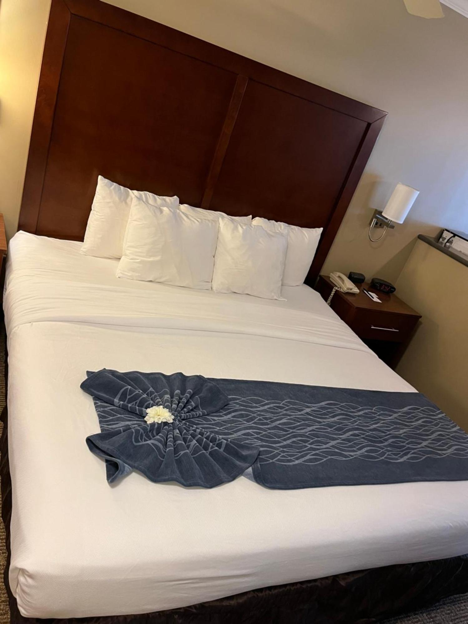 Comfort Inn & Suites Ocean Shores Extérieur photo